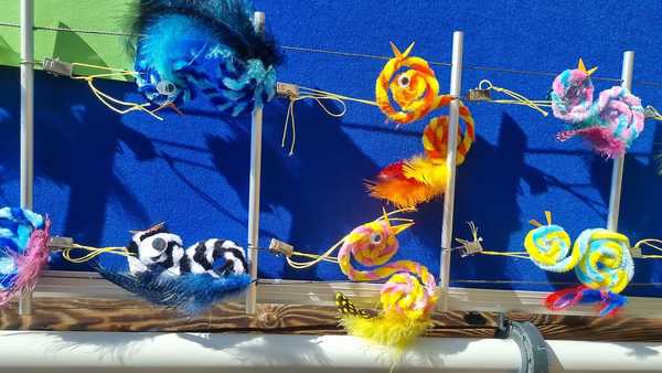 20250404_144316 20250404_144316